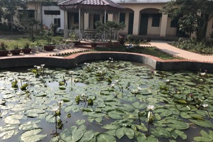 Thư viện ảnh 2
